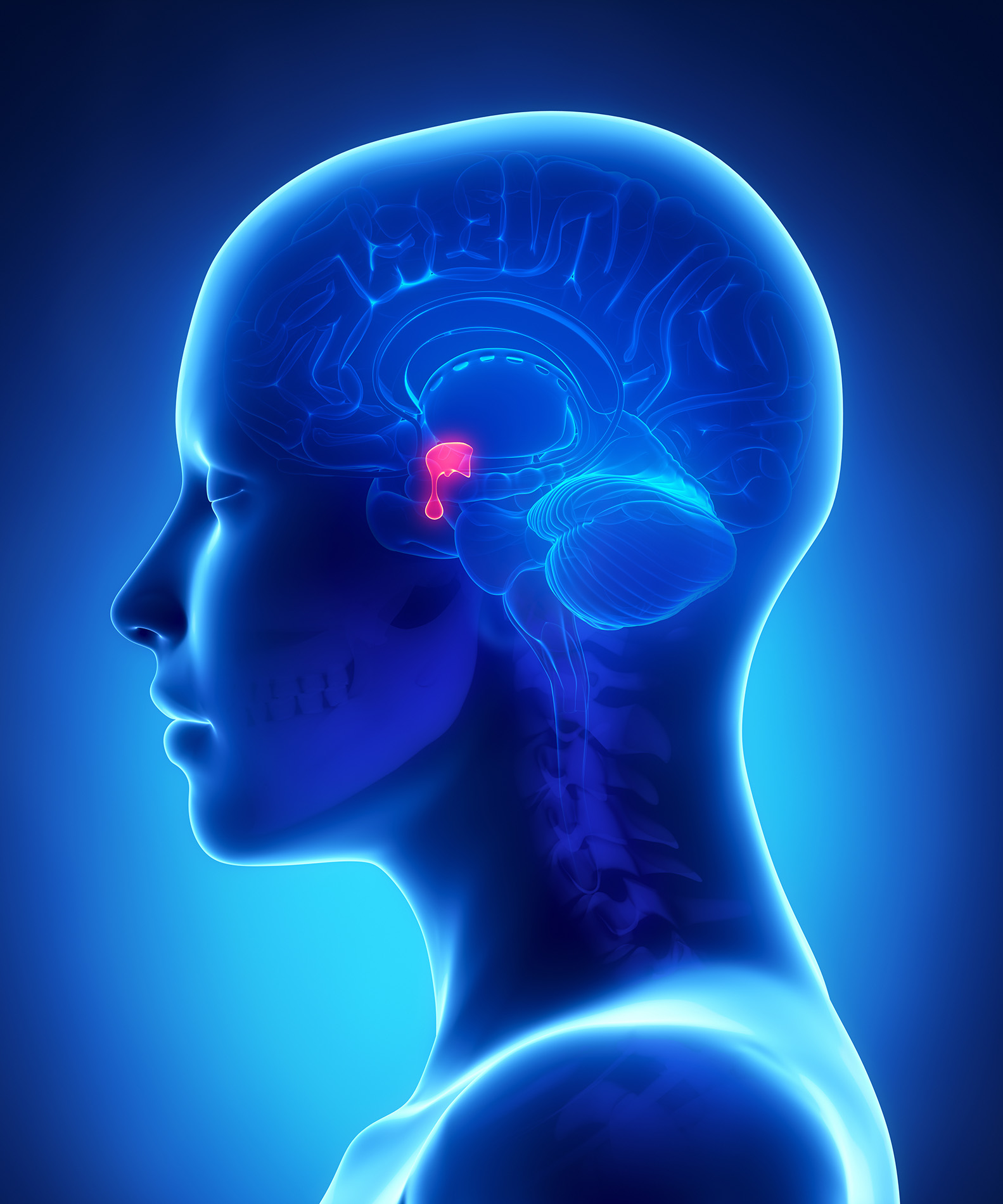 Pituitary Gland - Pituitary Tumors - Successful Pituitary Cancer Treatment - Miami CyberKnife