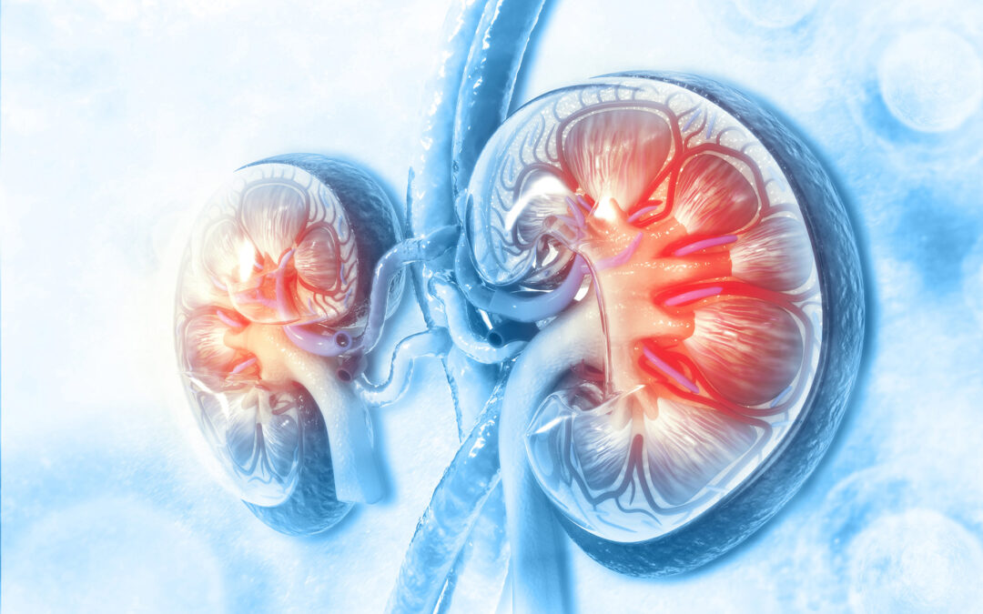 CYBERKNIFE SHOULD BE CONSIDERED AN OPTION FOR KIDNEY CANCER PATIENTS WITH ONE KIDNEY