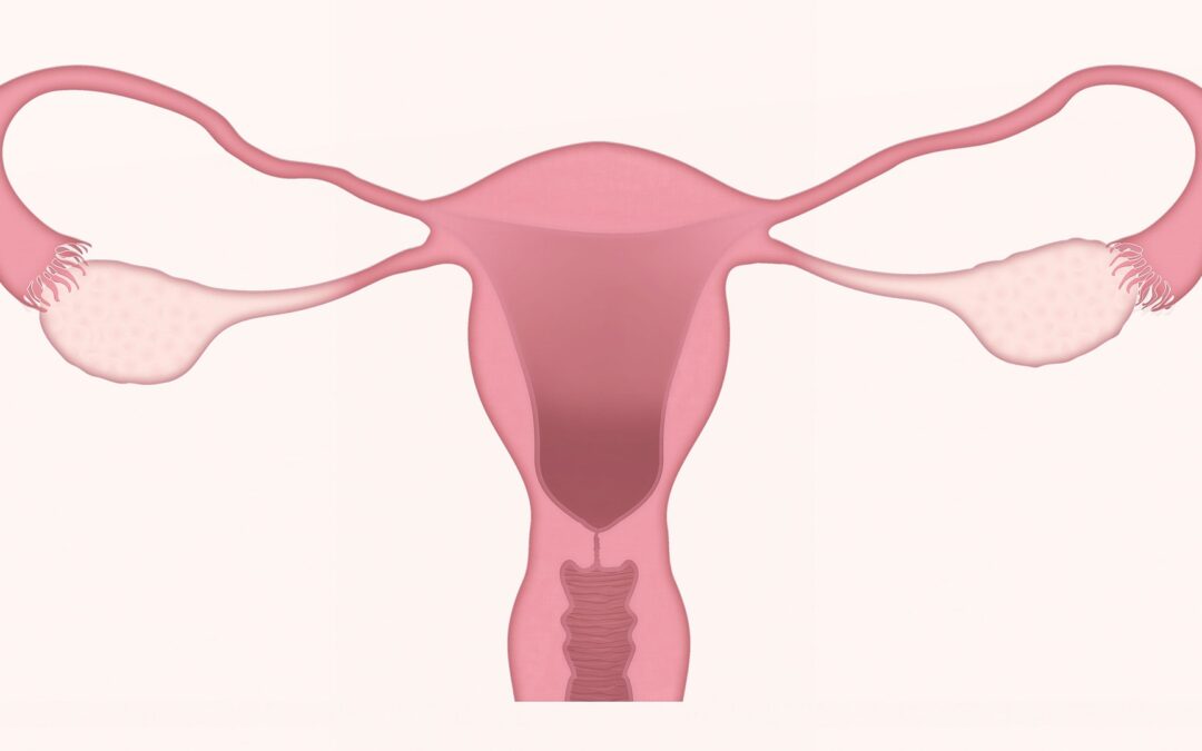 SEPTEMBER IS OVARIAN CANCER AWARENESS MONTH: KNOW THE FACTS