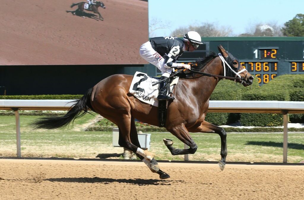 Cyberknife a Triple Crown Nominee is Racing in the Arkansas Derby