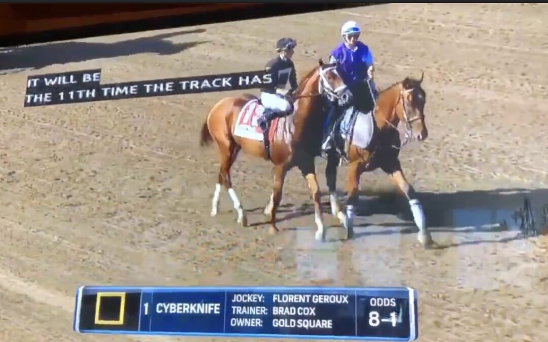 Cyberknife Wins The Haskell Stakes & Continues Educating All About the Life Saving Technology