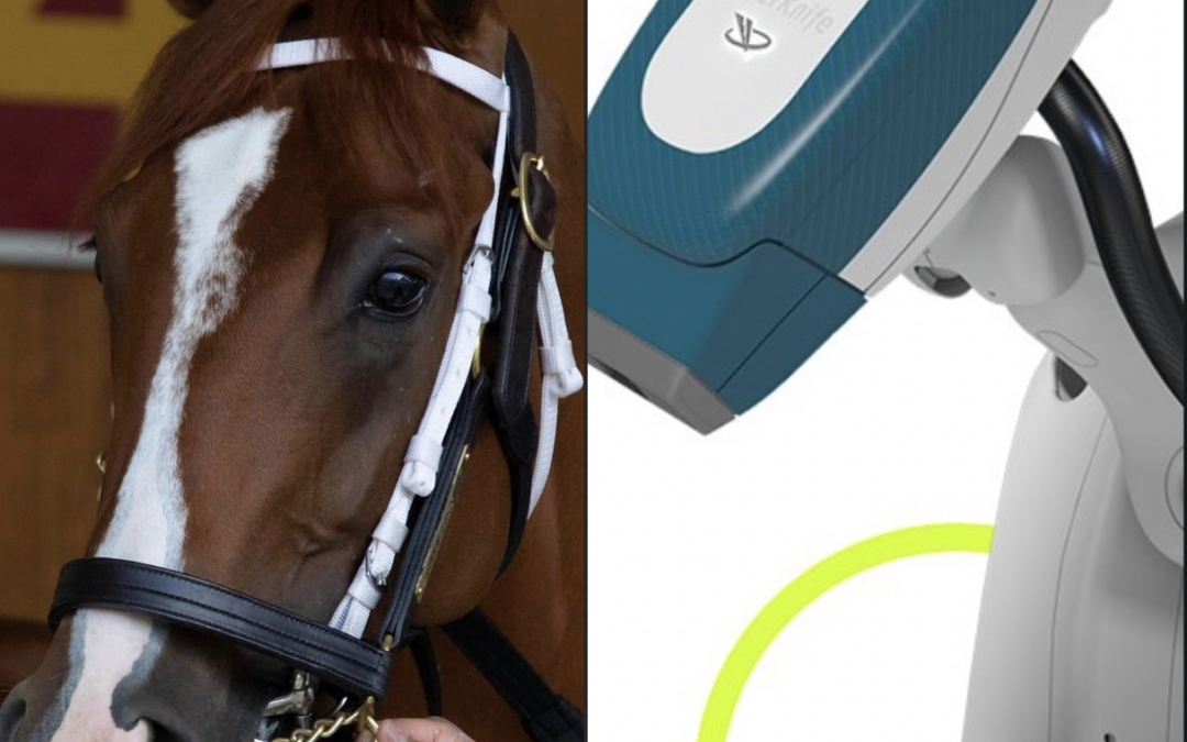 What Can You Learn From a Racehorse Named Cyberknife?