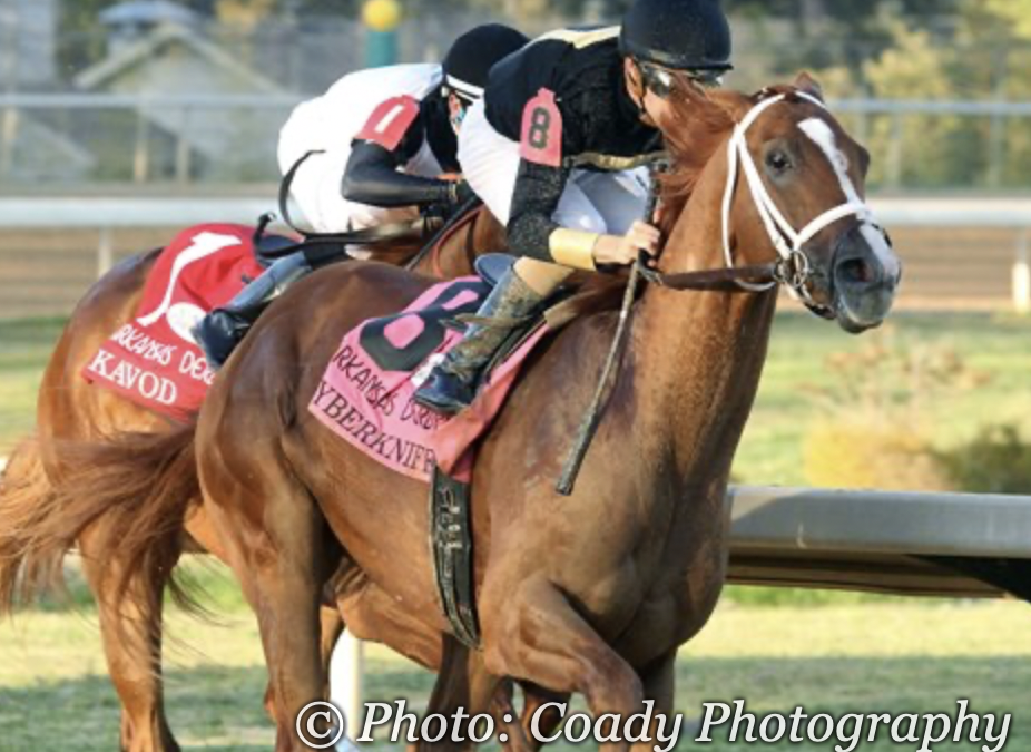 Cyberknife the Racehorse Continues to Educate the World About the Cancer Treatment That Saved His Owner’s Life