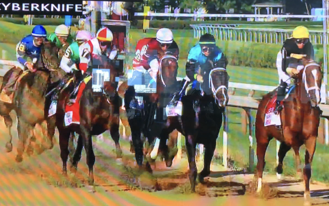 Close But No Cigar for Cyberknife in the Travers Stakes