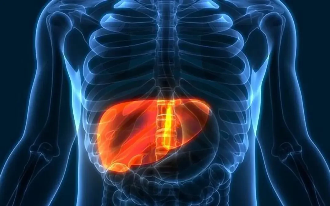 Stages of Liver Cancer and Liver Cancer Treatment